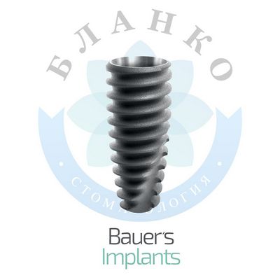 Bauers